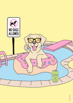 Kunstplakat med hund i donut-badering i basseng – solbriller, “no dogs allowed”-skilt og humoristisk feriestemning.